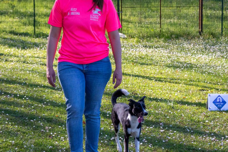 Rally-Obedience a Bologna con Alice Bonetti